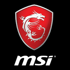 MSI